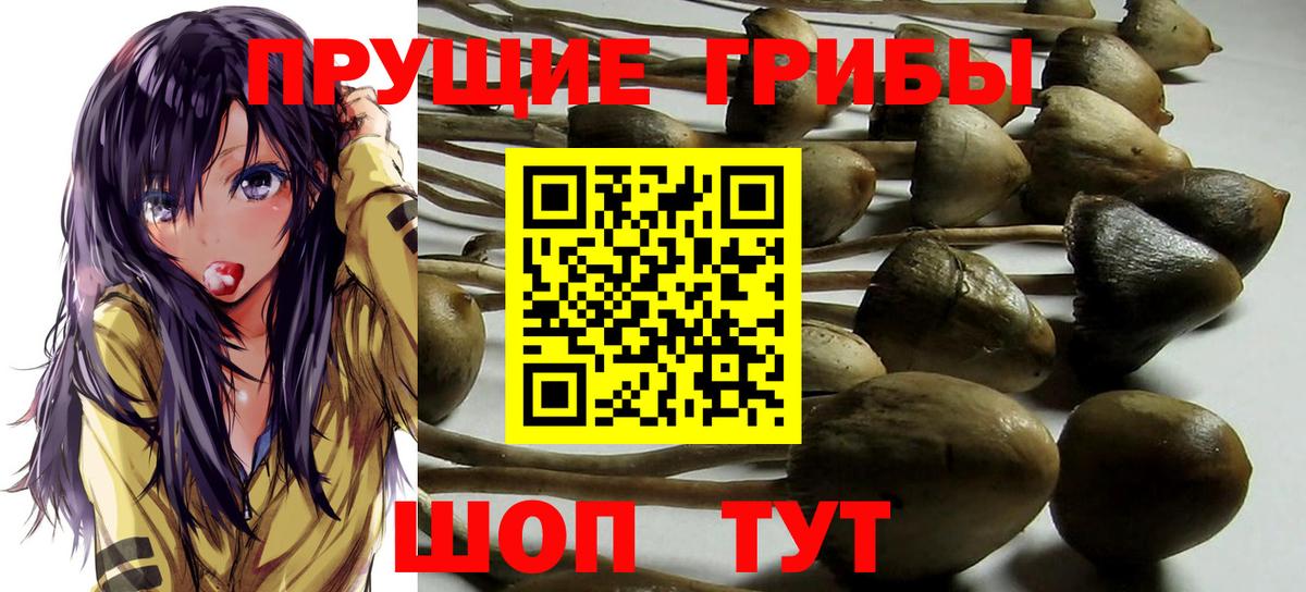 Галлюциногенные грибы Cubensis  Галлюциногенные грибы Magic Shrooms  Курганинск  Вход с VPN 
